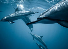 世界杯球员名单-紫金军团年轻新宠？ESPN称新赛季塔克将获大量机会